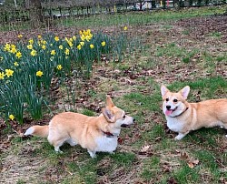 Blij buiten in de lente